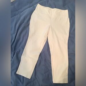 Women in Control White Tapered Leg Stretch Pants 1X